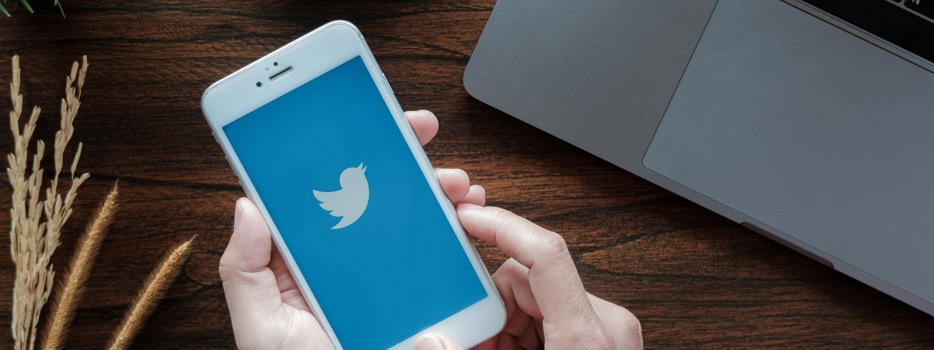 Cómo usar Twitter en tu empresa
