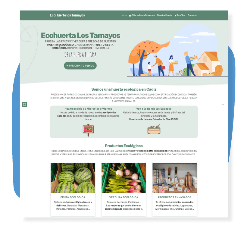 diseño web tienda ecologica